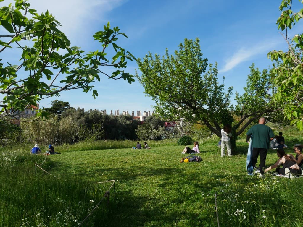 Pelouse verdoyante où des habitants se reposent à l'ombre des arbres, avec les toits du quartier en arrière-plan.